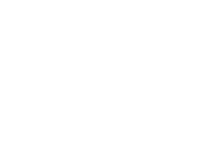 ion-w